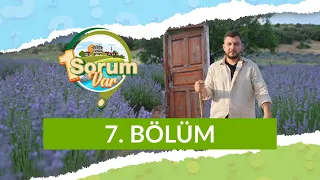 Kırşehir - 1 Sorum Var 7. Bölüm
