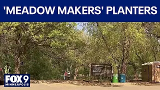 ‘Meadow Makers’ group tends to plants at Theodore Wirth Park