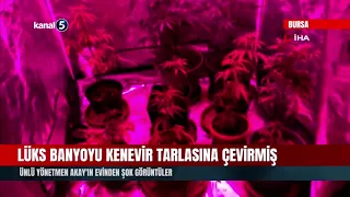 He Turned His Luxury Bathroom Into a Cannabis Field! Shocking Footage From Famous Director Akay's...