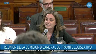 VANESA SILEY – BICAMERAL COMMITTEE ON LEGISLATIVE PROCEDURES 09-01-26