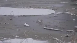 Manure run-off in Casco sparks water quality concerns