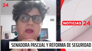 Pascual and security reform: "All its new powers have a clear authoritarian bent"