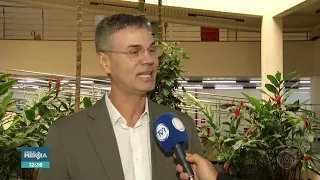 2026 Elections: Electoral Justice reviews 429 candidacy registrations in Mato Grosso