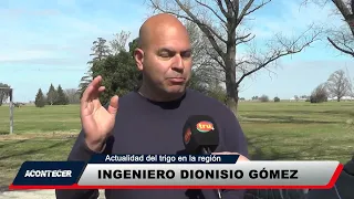 ACONTECER 2nd 09/14 DIONISIO GOMEZ Wheat in the region Part 2