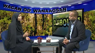 Wacan oo wanaagsan: daawadayaasheenna muddada dheer barnaamijka daawanaysay oo aan martiqaadnay