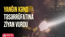 Ucarda yanğın: ev quşları tələf oldu | APA TV Ucarda yanğın: ev quşları tələf oldu | APA TV