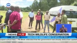 Kenya Space Agency uses satellites to protect mountain Bongo habitats