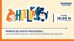 Perros de apoyo emocional | Huellas | 24-02-26