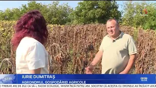 Over 1.3 million lei harvest destroyed. Soroca Prosecutor's Office investigates the case