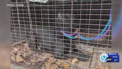 Missing dog from Kirkville found 3 months later by drone company Missing dog from Kirkville found 3 months later by drone company