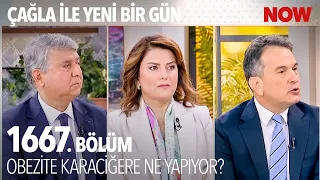 ''İnsülin Direncinde Olaylar Daha Farklı'' - Çağla ile Yeni Bir Gün 1667. Bölüm @CaglaileYeniBirGun​