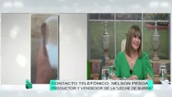 Milagrosa leche de burra causa sensación en San Pedro #AlEstiloPelusa