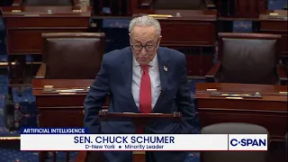 Schumer cautions against rise in unchecked AI
