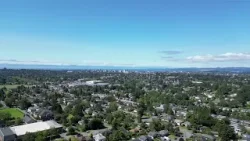 По данным CREA, продажи жилья, количество выставленных на продажу объектов и цены на него снижают...