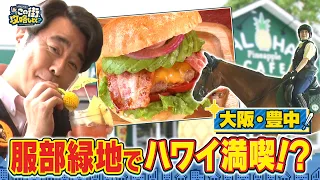 【よゐこ有野】この街、攻略しとく？豊中の服部緑地をぶーらぶら ～乗馬＆ハワイアン‼優雅な気分を味わえる人気スポットを徹底攻略の巻～