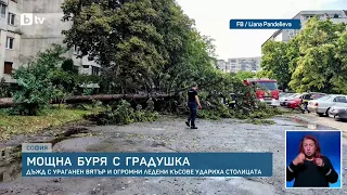 Ураганен вятър, огромни ледени късове, две педи вода по улиците - как бурята удари София?