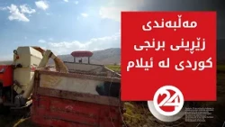 مەڵبەندی زێڕینی برنجی کوردی لە ئیلام