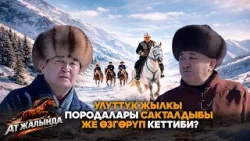 Улуттук жылкы породалары сакталдыбы же өзгөрүп кеттиби? // Ат жалында