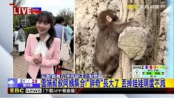 最新》雲端叔叔阿姨集合!「胖奇」長大了 丟掉娃娃萌度不減@newsebc 最新》雲端叔叔阿姨集合!「胖奇」長大了 丟掉娃娃萌度不減@newsebc