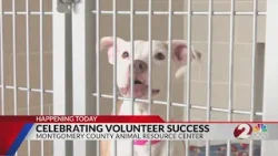 Local animal shelter celebrates success of volunteers