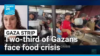 Gaza faces ongoing food crisis despite ceasefire • FRANCE 24 English
