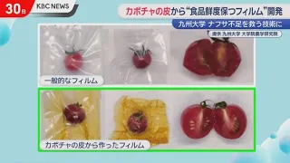 Saving us from a naphtha shortage!? Kyushu University develops "food-preserving" film from pumpki...