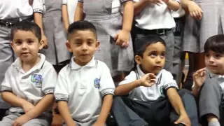Periquito azul