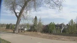 Установлена ​​личность женщины, в которую ударила молния на пешеходной тропе в Колорадо.