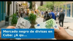 Mercado negro de divisas en Cuba: ¿A qué precio se venden hoy dólares, euros y MLC?