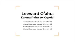 CIF General Group 1 - Leeward Oʻahu: Kaʻena Point to Kapolei