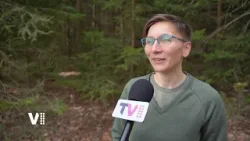 Východočeské zprávy – 8. 4. 2026