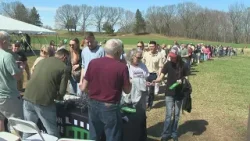 Пивоварня в Гластонбери проводит необычную пасхальную охоту.