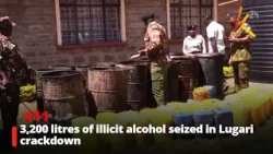 В ходе операции по пресечению незаконной торговли алкоголем в Лугари изъято 3200 литров нелегальн...