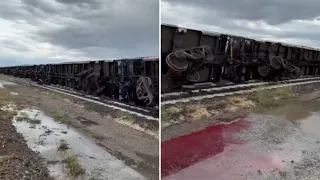 Windstorm topples train, trees in Millard County