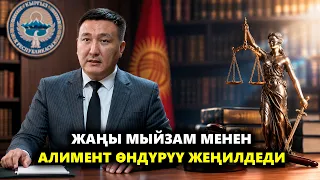 Жаңы мыйзам менен алимент өндүрүү жеңилдеди // Атайын репортаж