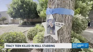 Tracy Target stabbing leaves one dead; teen detained