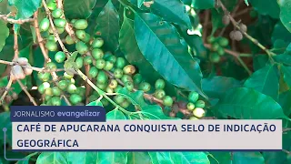 Apucarana coffee earns Geographical Indication seal