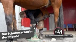 Self-employed farrier: How the horse's shoemaker works | Reportage magazine +41