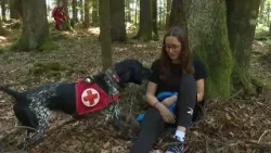 Jede Spur zählt: Suchhunde-Staffel im Einsatz