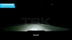 Дикие козы на трассе