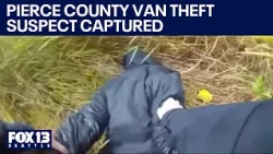 Pierce County van theft suspect caught hiding in bee farm | FOX 13 Seattle
