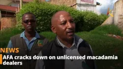 AFA cracks down on unlicensed macadamia dealers