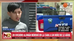 ATAQUE de PERROS PELIGROSOS: un OVEJERO alemán MORDIÓ en la CARA a un NENE de 12 AÑOS