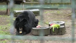 Lucky megjósolta – közeleg a tavasz Kecskeméten Lucky megjósolta – közeleg a tavasz Kecskeméten