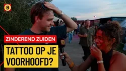 Going Wild at Festyland | Sizzling South