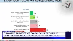 Growing Number of Jamaicans Becoming Concerned About Jobs Due to Technology | TVJ Business Day