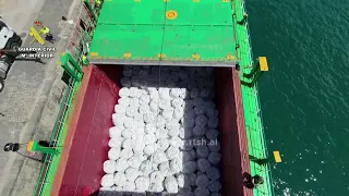 Rekord kokaine në Spanjë - Sekuestrohen 1.2 ton drogë të fshehura në ngarkesën me arra kokosi