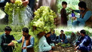 هنداره - د افغانستان تازه مېوې