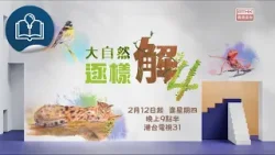 【大自然逐樣解4】即將開播！
