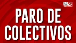 Paro de colectivos: qué líneas no circulan y cuáles sí